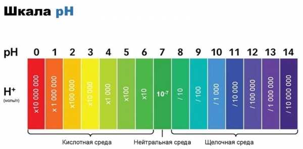 
						Что может привести к взрыву радиатора отопления