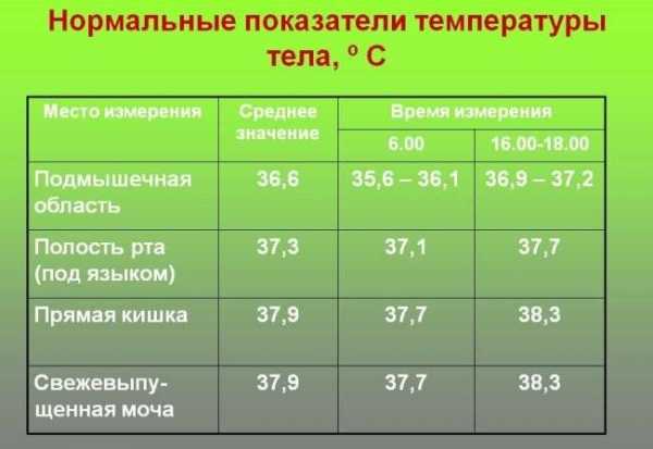 10 интересных фактов о температуре тела