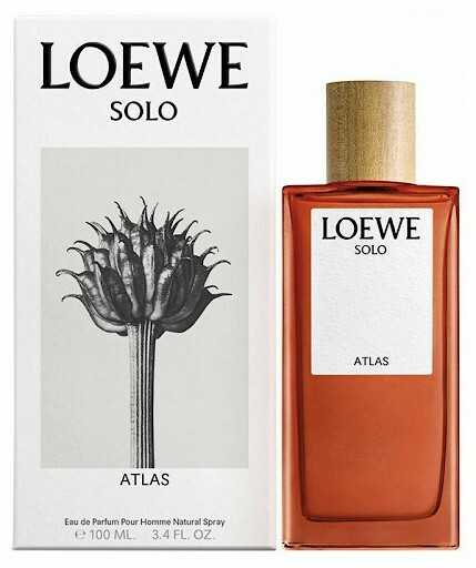 Аромат, посвященный солнцу — Loewe Solo Atlas