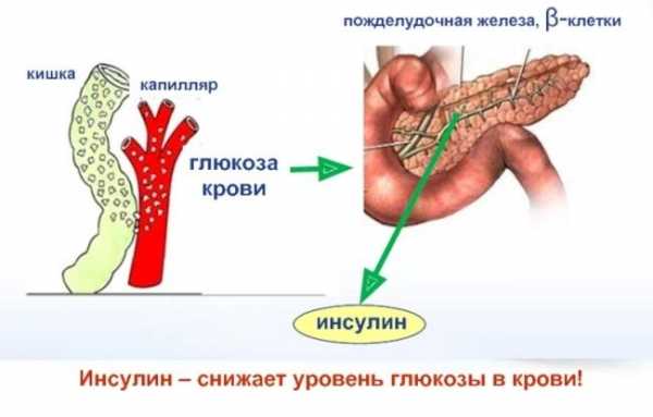 Почему мы голодны утром, когда едим поздно вечером