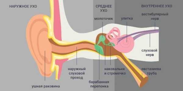 Что делать, если заложены уши