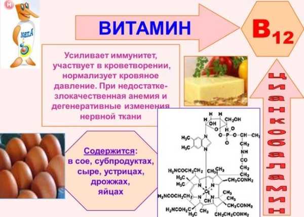 Польза витамина В12, его пищевые источники