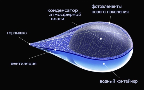 Вода из воздуха: изучаем особенности конструкции самонаполняющейся бутылки Fontus