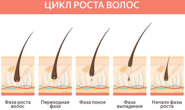 Средство для роста волос на голове у женщин. Эффективные средства