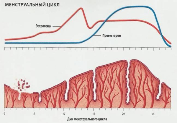 Как перименопауза влияет на ваши месячные и что вы можете с этим поделать