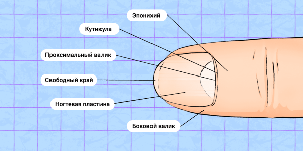 И всё-таки: нужно ли обрезать кутикулу на ногтях?