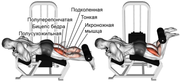 Упражнения на бицепс бедра в тренажерном зале, дома